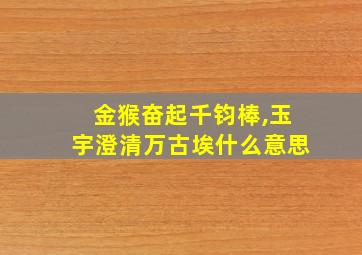 金猴奋起千钧棒,玉宇澄清万古埃什么意思