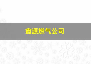 鑫源燃气公司