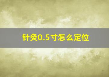 针灸0.5寸怎么定位