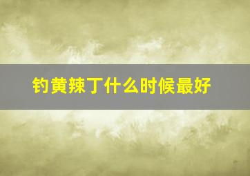 钓黄辣丁什么时候最好