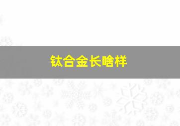 钛合金长啥样