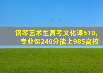 钢琴艺术生高考文化课510,专业课240分能上985高校