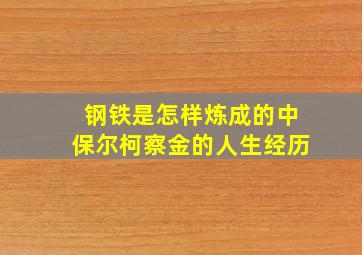 钢铁是怎样炼成的中保尔柯察金的人生经历