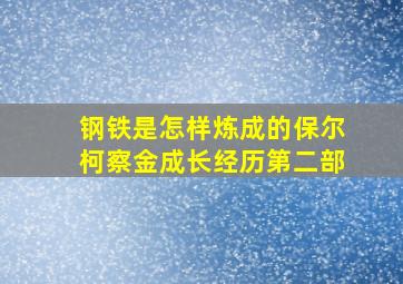 钢铁是怎样炼成的保尔柯察金成长经历第二部