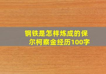 钢铁是怎样炼成的保尔柯察金经历100字