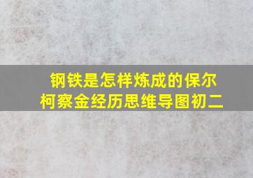 钢铁是怎样炼成的保尔柯察金经历思维导图初二