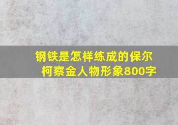 钢铁是怎样练成的保尔柯察金人物形象800字