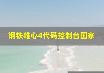 钢铁雄心4代码控制台国家