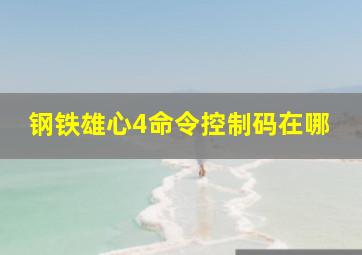 钢铁雄心4命令控制码在哪