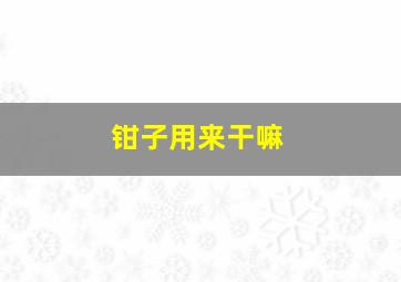 钳子用来干嘛