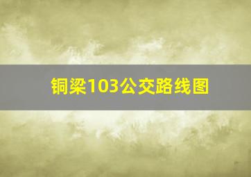 铜梁103公交路线图