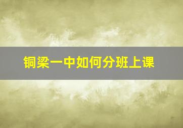 铜梁一中如何分班上课