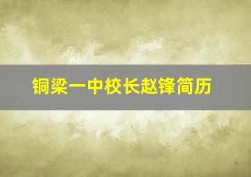 铜梁一中校长赵锋简历