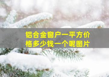 铝合金窗户一平方价格多少钱一个呢图片