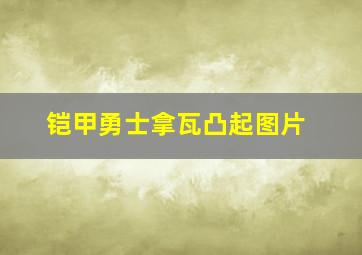 铠甲勇士拿瓦凸起图片