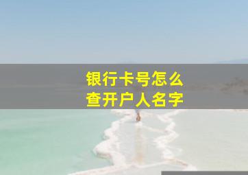 银行卡号怎么查开户人名字