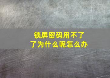 锁屏密码用不了了为什么呢怎么办