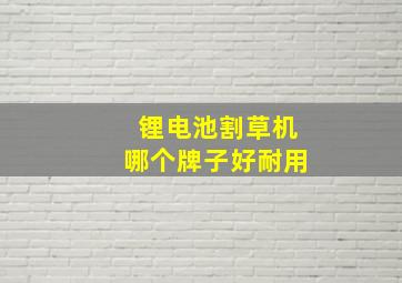 锂电池割草机哪个牌子好耐用