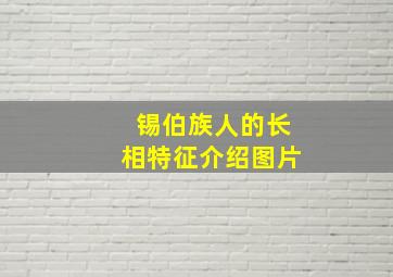 锡伯族人的长相特征介绍图片