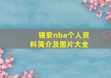 锡安nba个人资料简介及图片大全