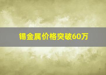 锡金属价格突破60万