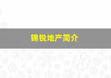 锦锐地产简介