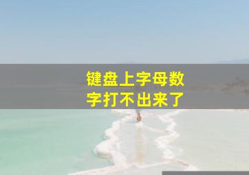 键盘上字母数字打不出来了