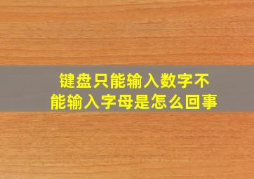 键盘只能输入数字不能输入字母是怎么回事