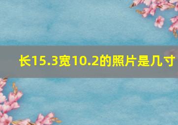 长15.3宽10.2的照片是几寸