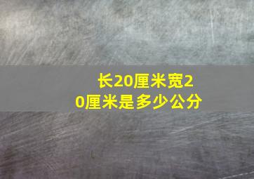 长20厘米宽20厘米是多少公分