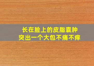 长在脸上的皮脂囊肿突出一个大包不痛不痒