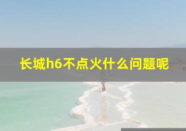 长城h6不点火什么问题呢