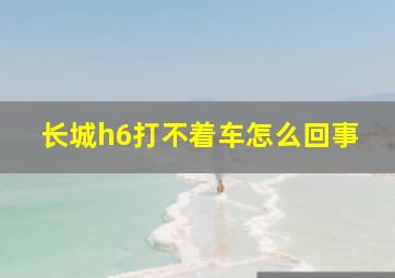 长城h6打不着车怎么回事