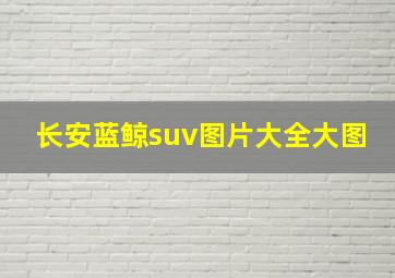 长安蓝鲸suv图片大全大图