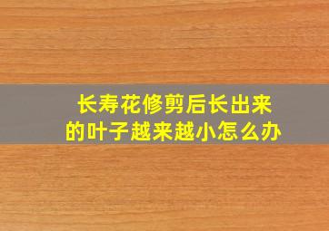 长寿花修剪后长出来的叶子越来越小怎么办