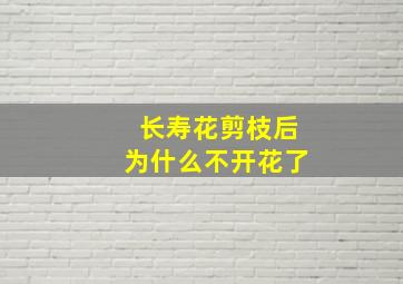 长寿花剪枝后为什么不开花了