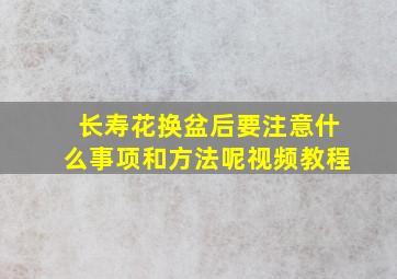 长寿花换盆后要注意什么事项和方法呢视频教程