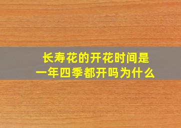 长寿花的开花时间是一年四季都开吗为什么