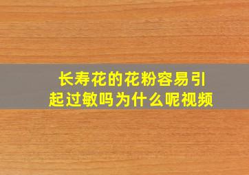 长寿花的花粉容易引起过敏吗为什么呢视频