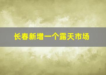 长春新增一个露天市场