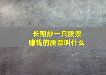 长期炒一只股票赚钱的股票叫什么