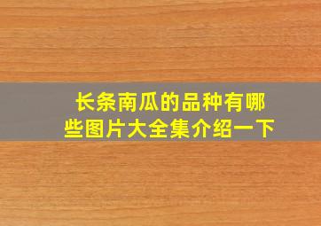 长条南瓜的品种有哪些图片大全集介绍一下