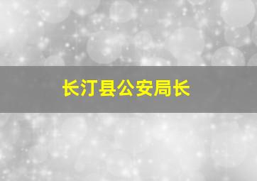 长汀县公安局长