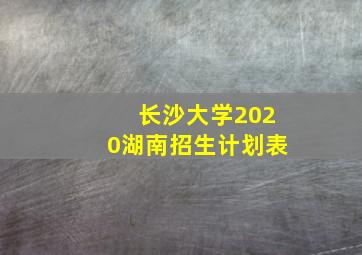 长沙大学2020湖南招生计划表