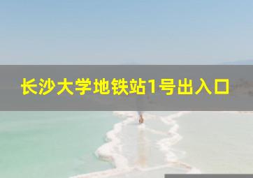 长沙大学地铁站1号出入口