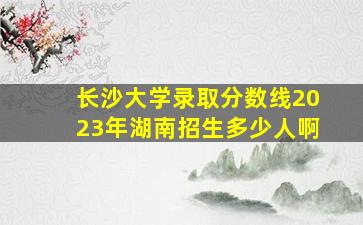 长沙大学录取分数线2023年湖南招生多少人啊