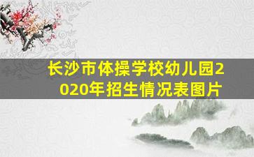 长沙市体操学校幼儿园2020年招生情况表图片