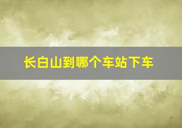 长白山到哪个车站下车