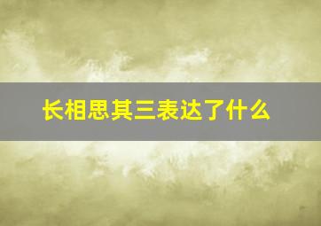 长相思其三表达了什么