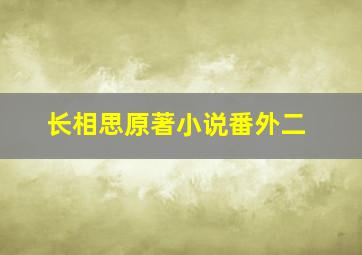 长相思原著小说番外二